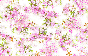 粉色烂漫花朵背景图 碎花