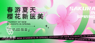 春夏樱花绽放美景