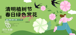 清明插柳挂白色素花