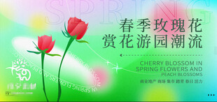 春季玫瑰花赏花潮流