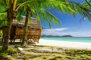 热带海滨木屋美景