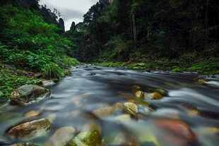 山间溪流绿意盎然的自然景