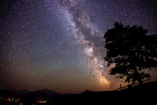 夜空下的璀璨星河与孤树