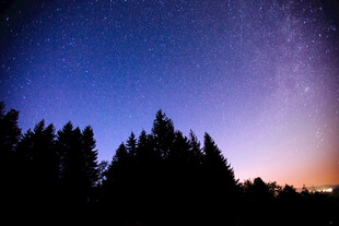 夜幕下的森林与璀璨星空