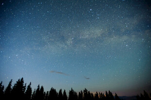 夜空下的森林与璀璨星河