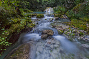 山间溪流绿意盎然的自然景