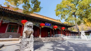 中式古建筑前的石狮子