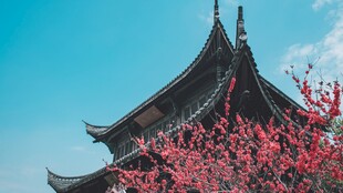 中国传统建筑