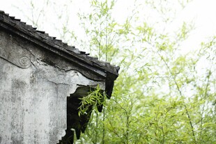 中国传统建筑 