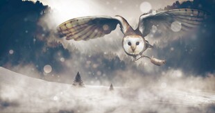 梦幻雪地中飞翔的神秘猫头鹰