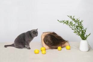 猫咪与女孩同赏柠檬绿植