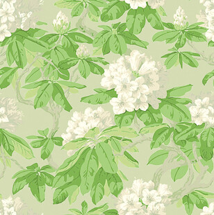 清新绿叶白花植物图案
