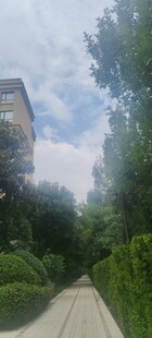 小区绿化 园林景观 