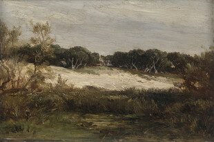 乡村旷野风景油画