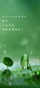 处暑