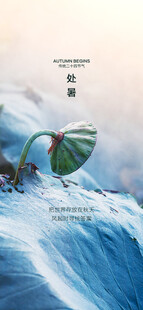 海浪中的复古电话