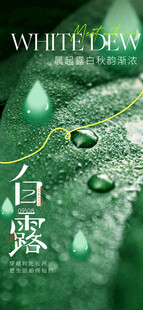 白露时节叶片上的晶莹水珠