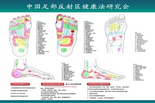 足部反射区海报