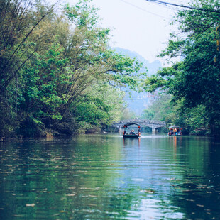 青山绿水间的悠然河道
