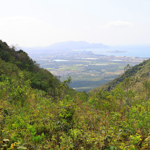 山间绿野远眺开阔景致