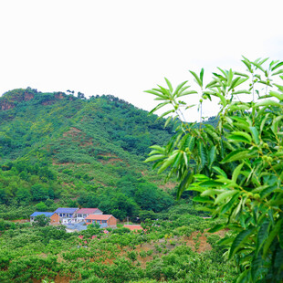 青山环绕中的静谧村落