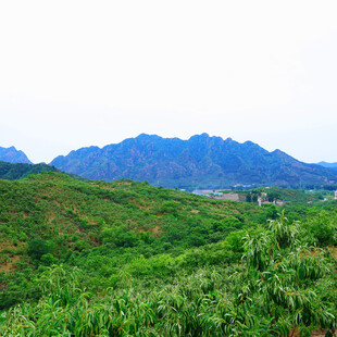 青山绿野间的秀丽风光