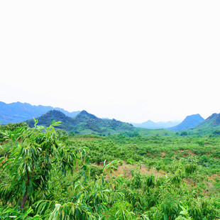 绿野青山间的自然景致