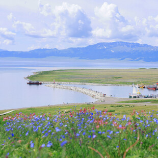 湖畔花海美景