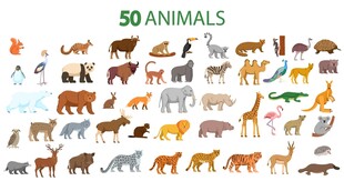 50种动物集合插画