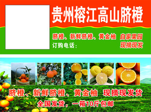 脐橙代金券