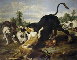 群犬猎牛场景