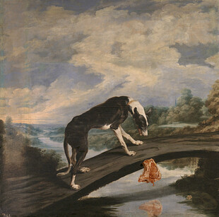 桥上猎犬与水中动物画面