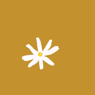 白色小花