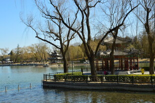 公园风景  
