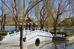 公园风景  