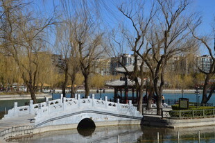 公园风景 