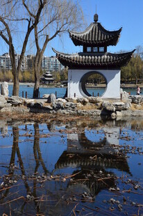 公园风景 