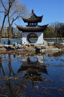 公园风景 