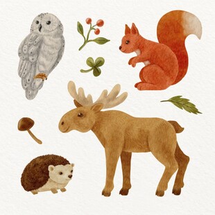 森林动物插画集合