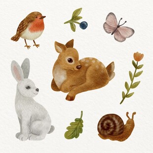 可爱森林小动物插画集合