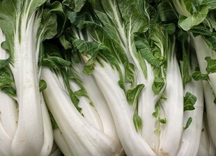 新鲜小白菜特写