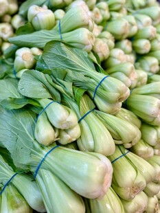 新鲜捆扎青菜