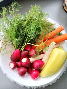 新鲜多样蔬菜摆放在盘中