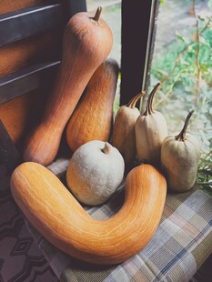 窗边摆放的多彩南瓜组合