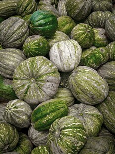 一堆花纹独特的新鲜南瓜