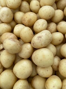 新鲜土豆堆叠展示