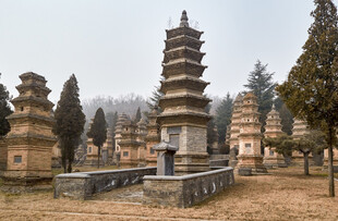 少林寺塔林景观