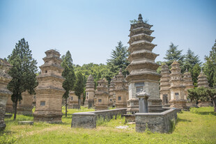 少林寺塔林古建筑景观