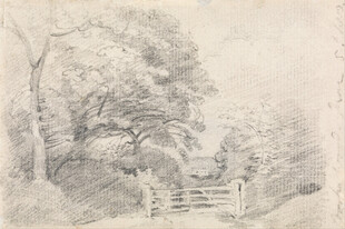 乡村风景素描