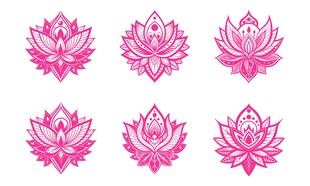 粉色莲花套装